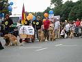 IMG_0595