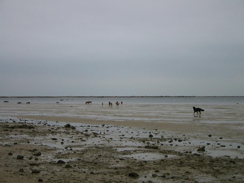 IMG_4213.jpg