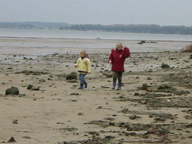 IMG_4217.jpg