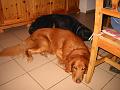 IMG_4201