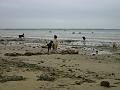 IMG_4216