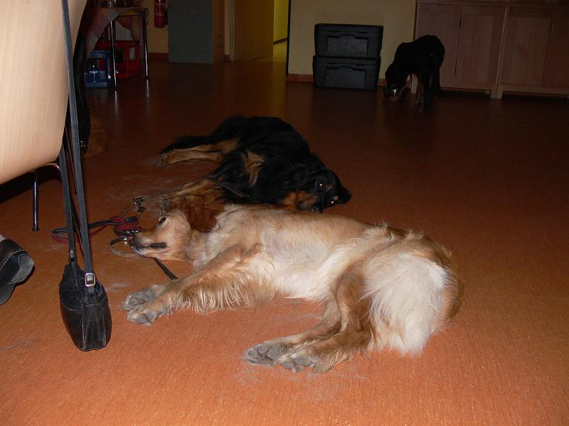 P1000836.JPG