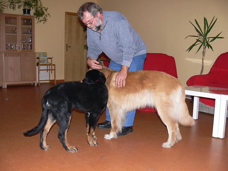 P1000837.JPG