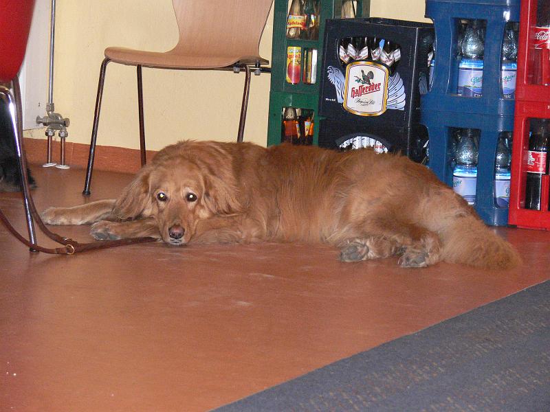 P1000839.JPG