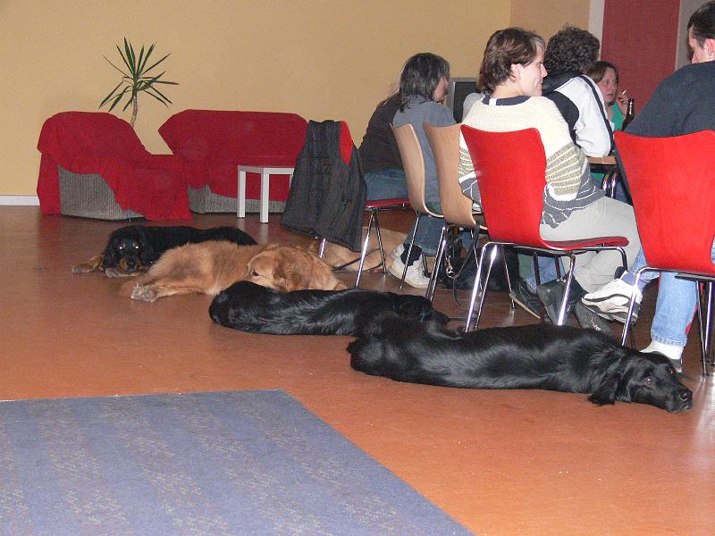 P1000847.JPG