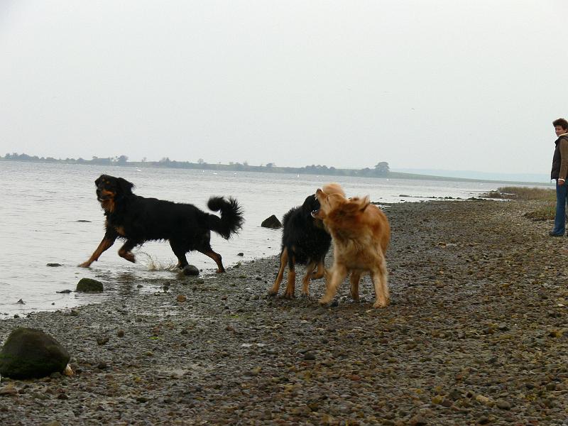 P1000857.JPG
