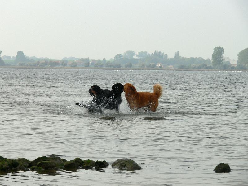 P1000859.JPG