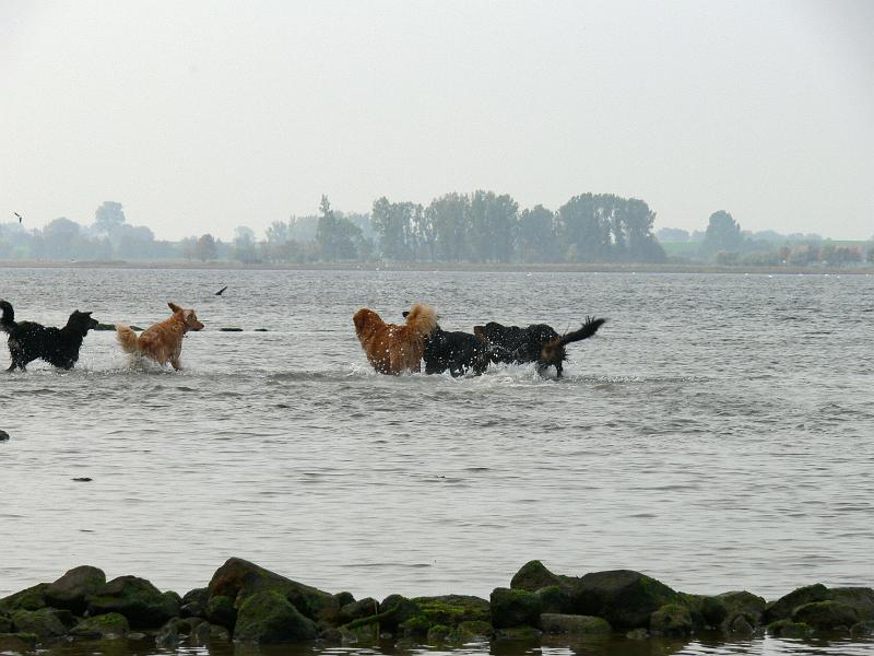 P1000860.JPG