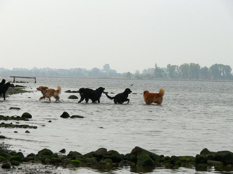 P1000861.JPG