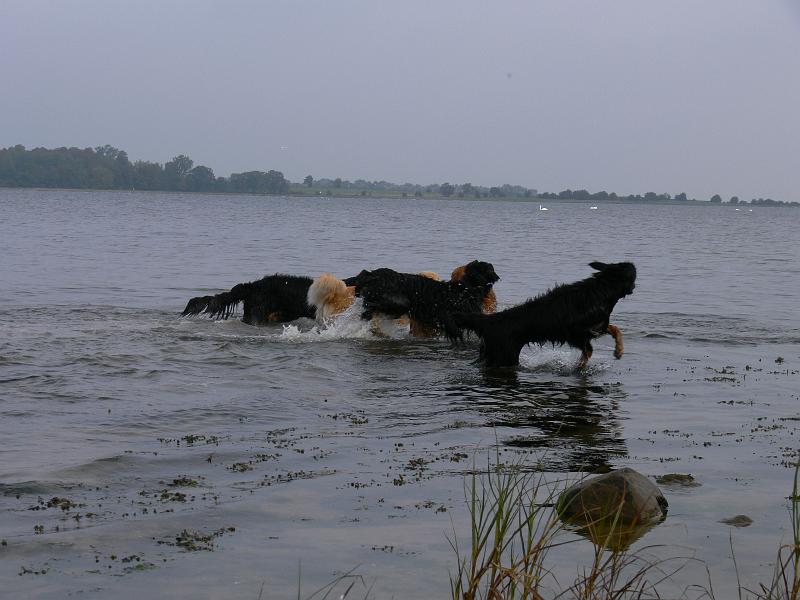 P1000874.JPG