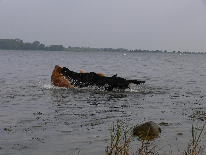 P1000875.JPG