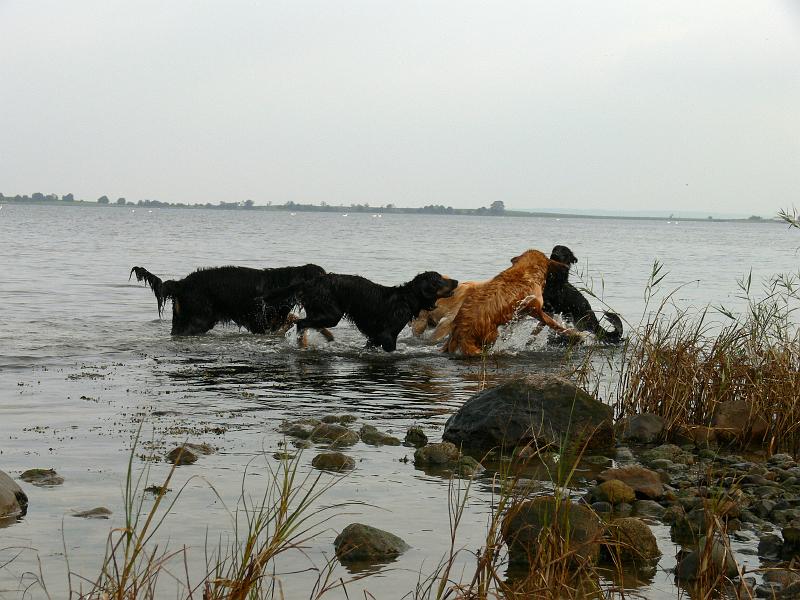 P1000876.JPG