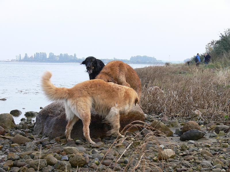 P1000878.JPG