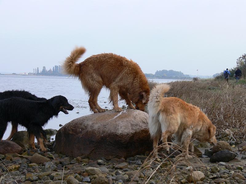 P1000879.JPG
