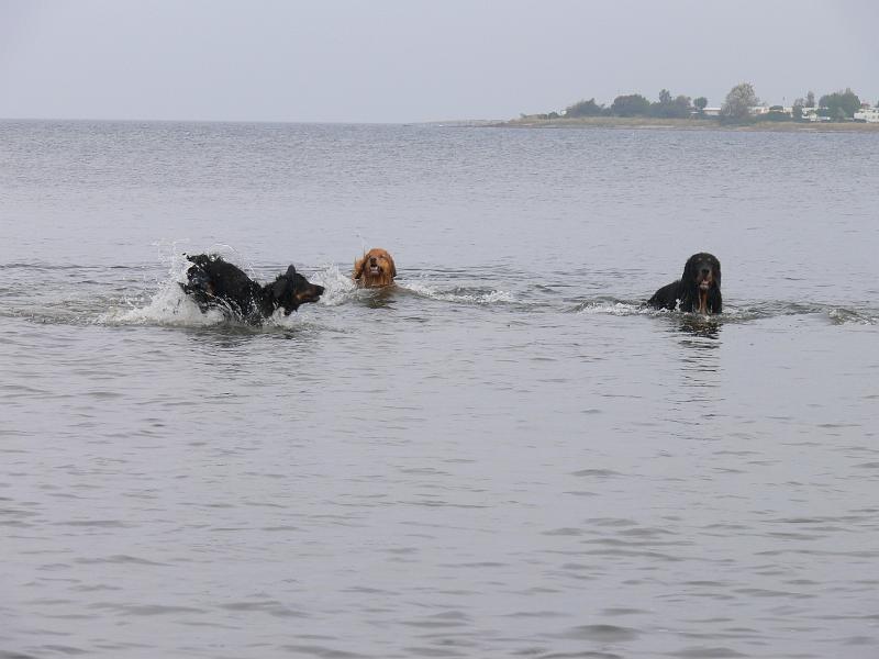 P1000888.JPG