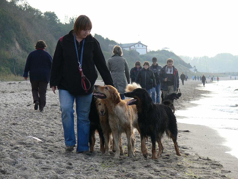 P1000907.JPG
