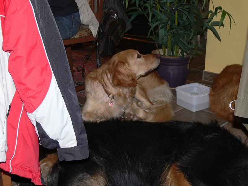 P1000932.JPG