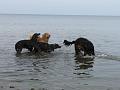 P1000880